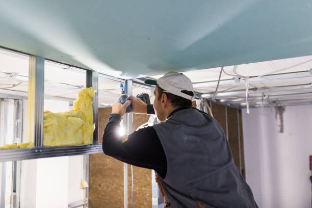 Best Types of Insulation in West Liberty, KY